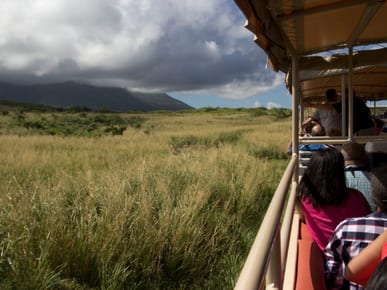 Ride the Scenic Railway